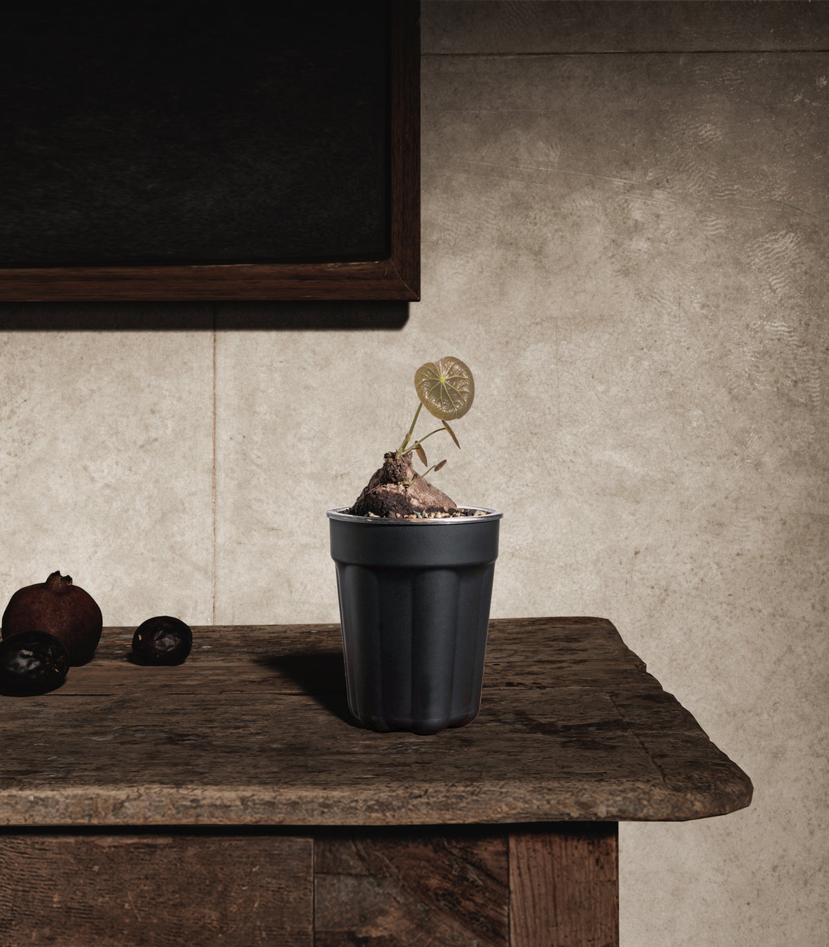 Black Pot Set Size 1 – Plant Hoarder Club