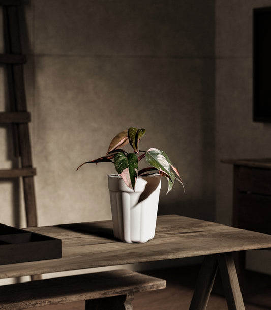 White Pot Set Size 1.5